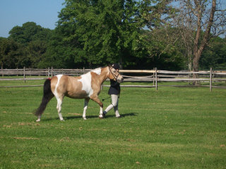 tricnty003001.jpg